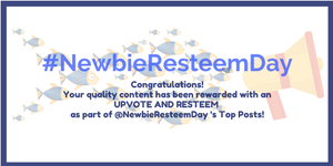 newbie.png