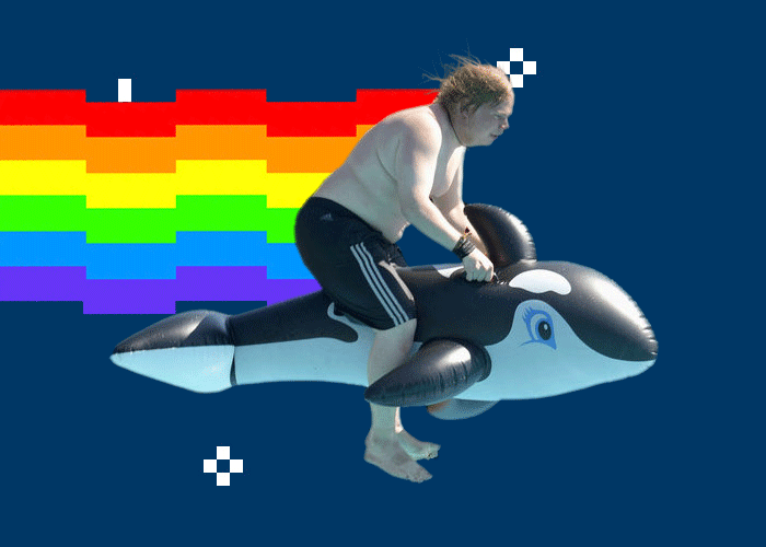 riding whale.gif