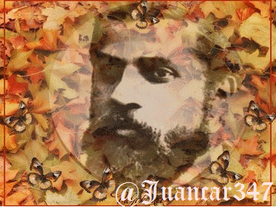 184-1-es-d37ac18e673b9c6fb45f27dfa160a218.gif