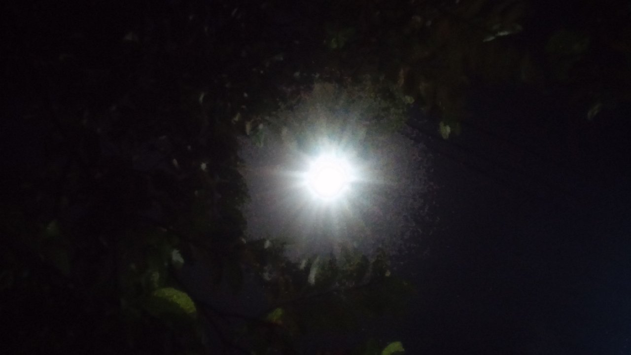 CAM03727.jpg