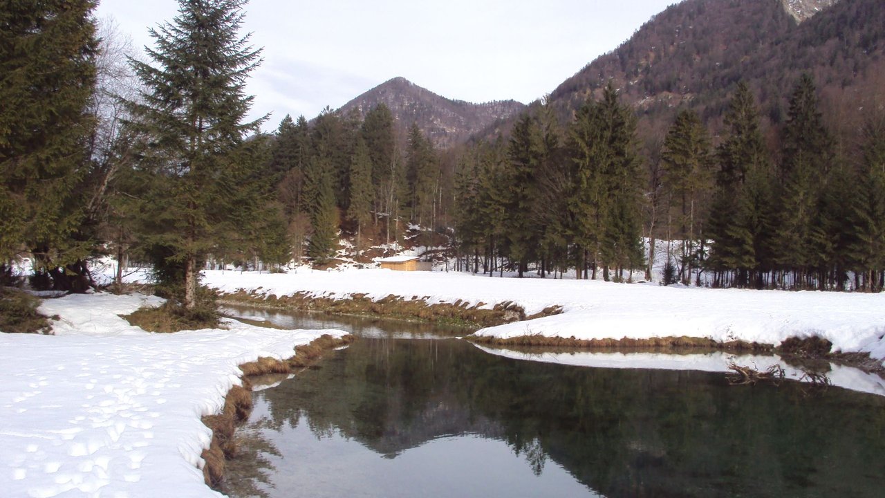 DSC02728.JPG