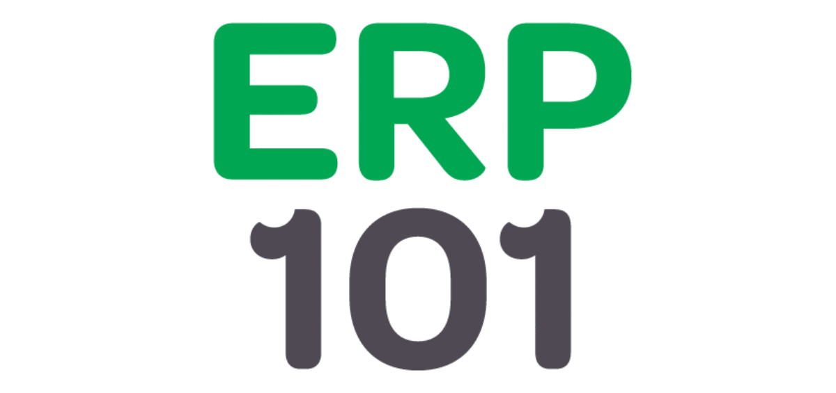 erp-101-1200x565.gif