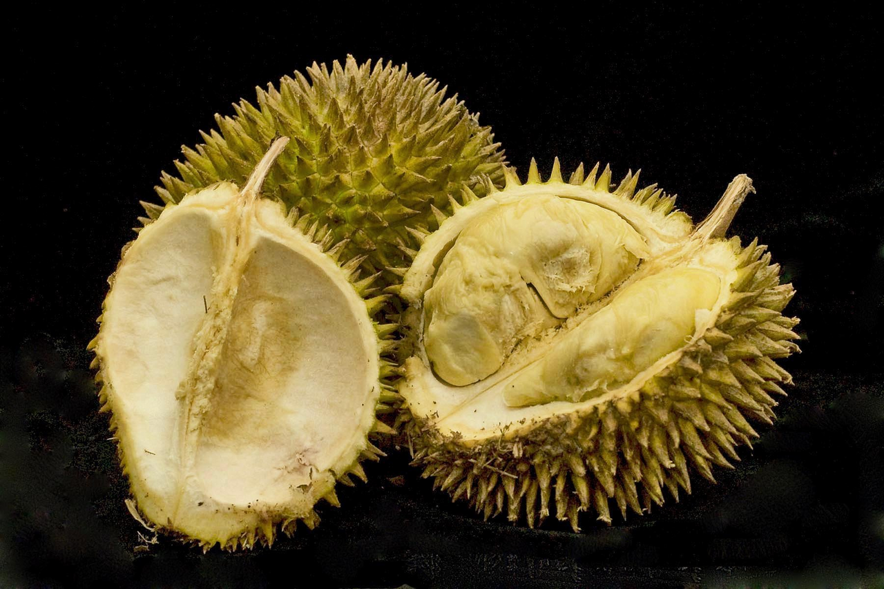 jackfruit and durian