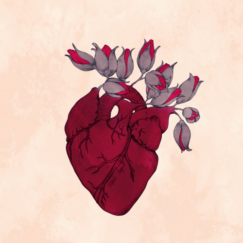 corazon-500x500.gif