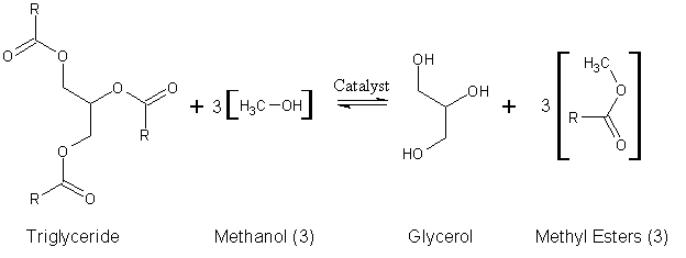 Generic_Biodiesel_Reaction1.gif