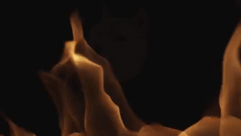 Animated GIF-downsized_large (1).gif