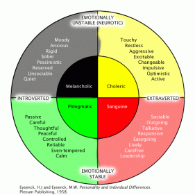 personality-and-individual-differences.gif