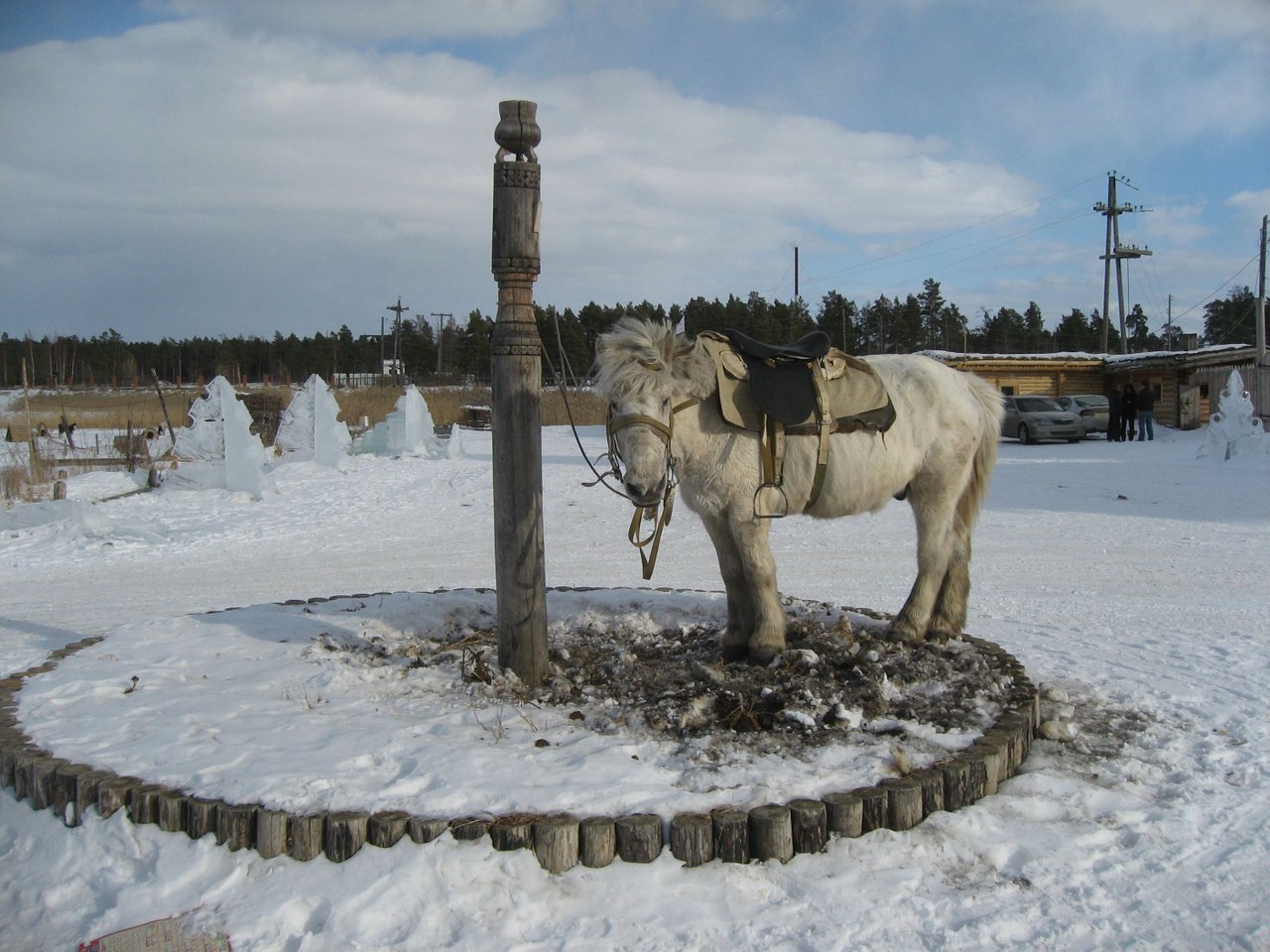 Mädel Krasnojarsk