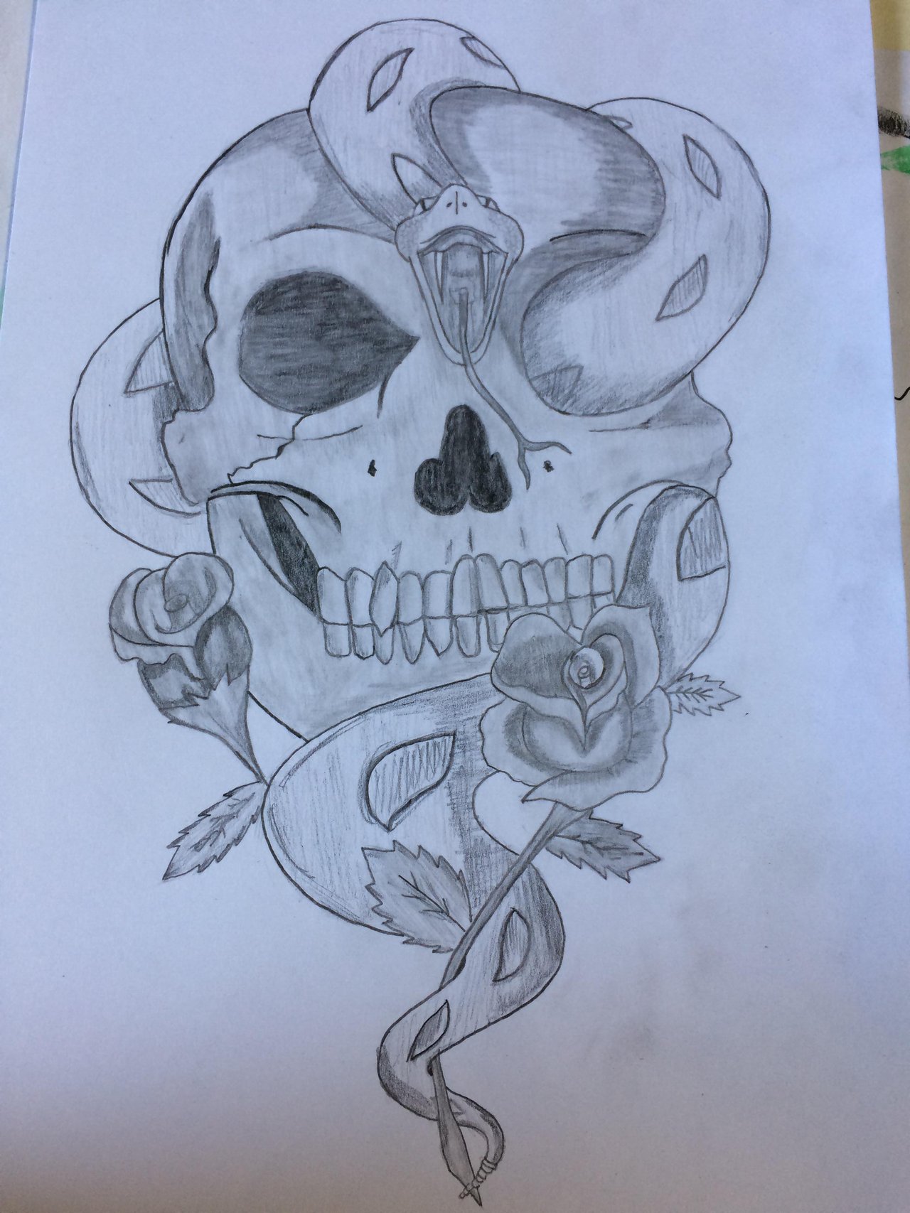 Skull with Roses Drawing by Skull  Fine Art America