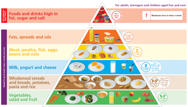 Food_pyramid_transp_landscape_640.gif