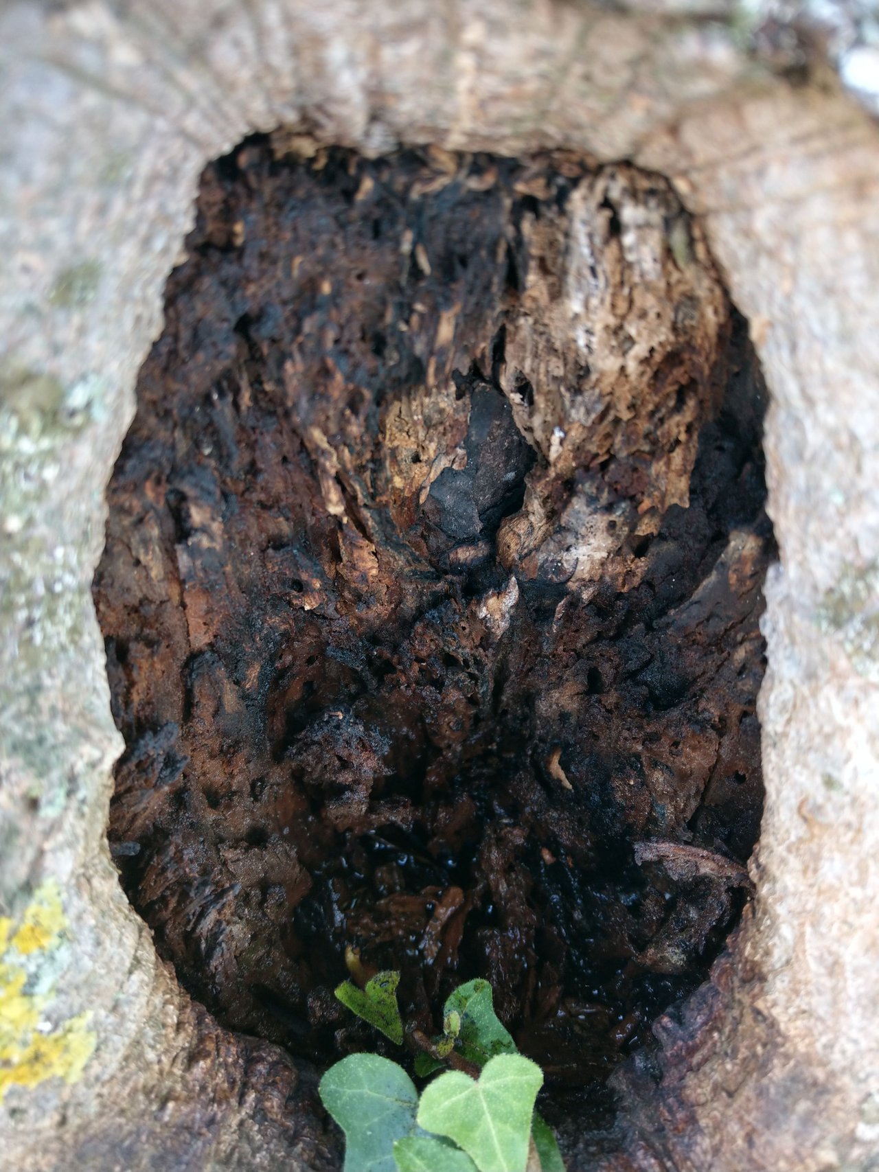 IMAG0042.jpg