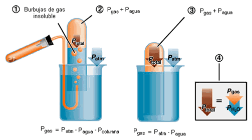 figura14_1.gif