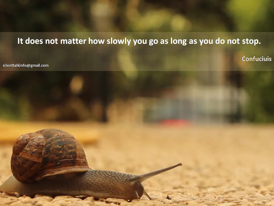 It does not matter how slowly you go as long as you do not stop..gif