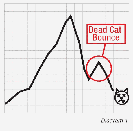 Dead Cat Bounce.gif