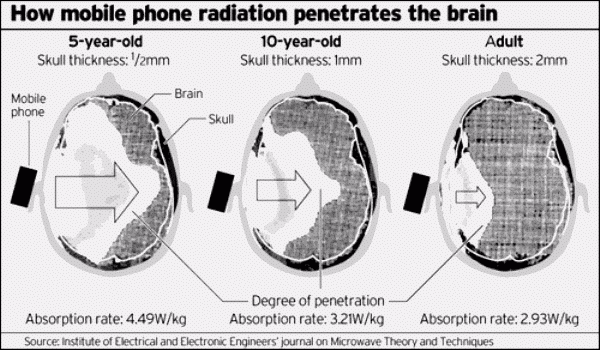 radiation.gif