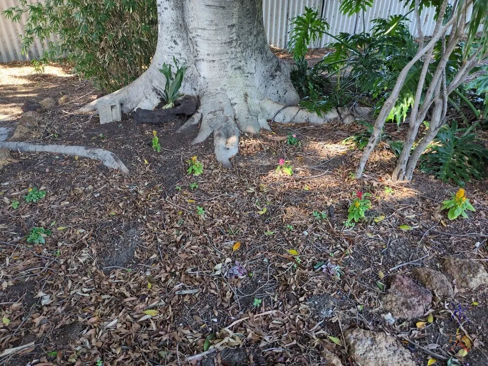 flower bed under tree
