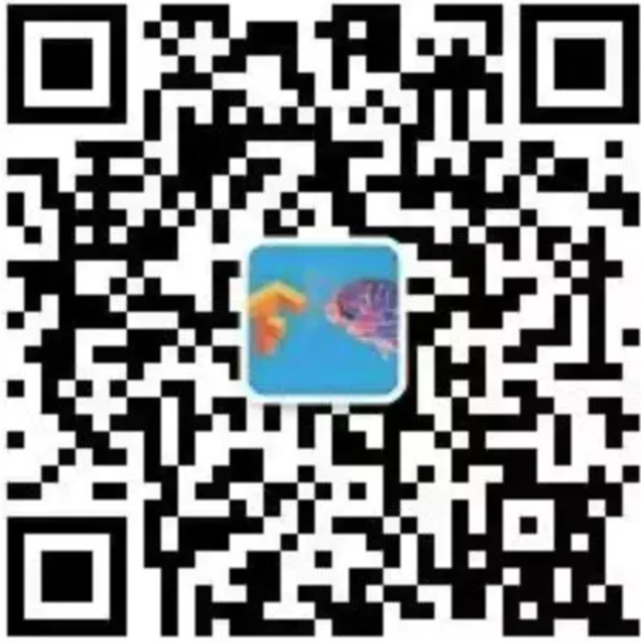 image-20200120124818801
