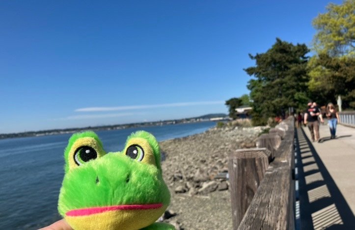 “Rain All Gone…..Man!”🐸…..My Actifit Report Card: September 30 2026