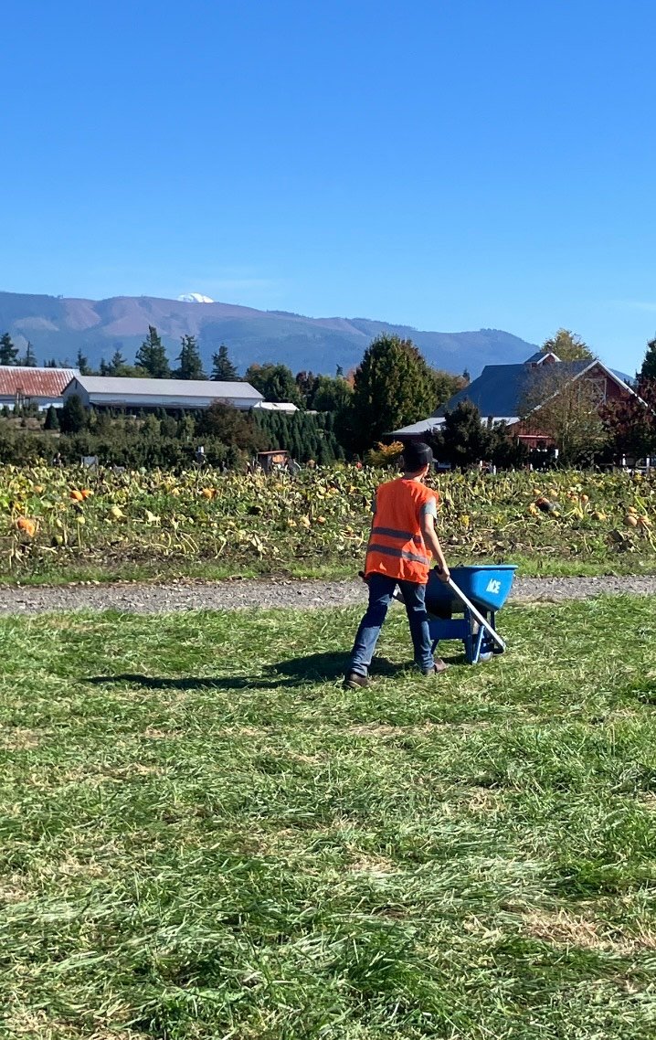 “I’ll Take Your Empty Wheelbarrow….Sir!”😊….My Actifit Report Card: October 5 2026