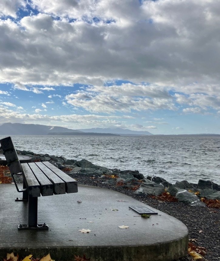 “There Be A Storm A Brewing Captain!”😳……My Actifit Report Card: October 9 2026