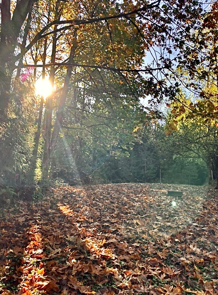 “Sunshine On My Shoulder’s Makes Me Happy!”😎……My Actifit Report Card: October 15 2026