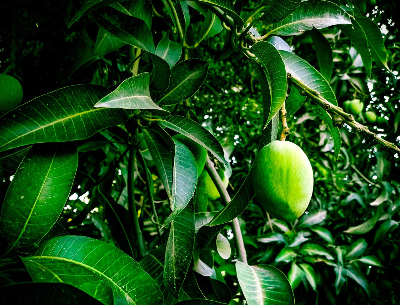 20c5d0df-92b5-44b2-8c38-42c19f167869
