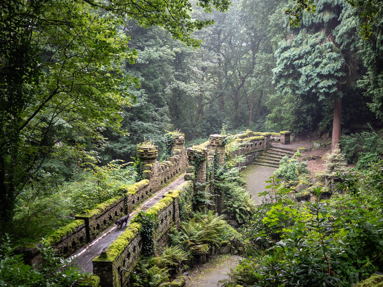 A walk around Beaumont Park Huddersfield PeakD