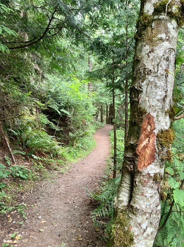 https://usermedia.actifit.io/8A694841-5F9B-4782-9515-26E13F5E07101754442178.472004