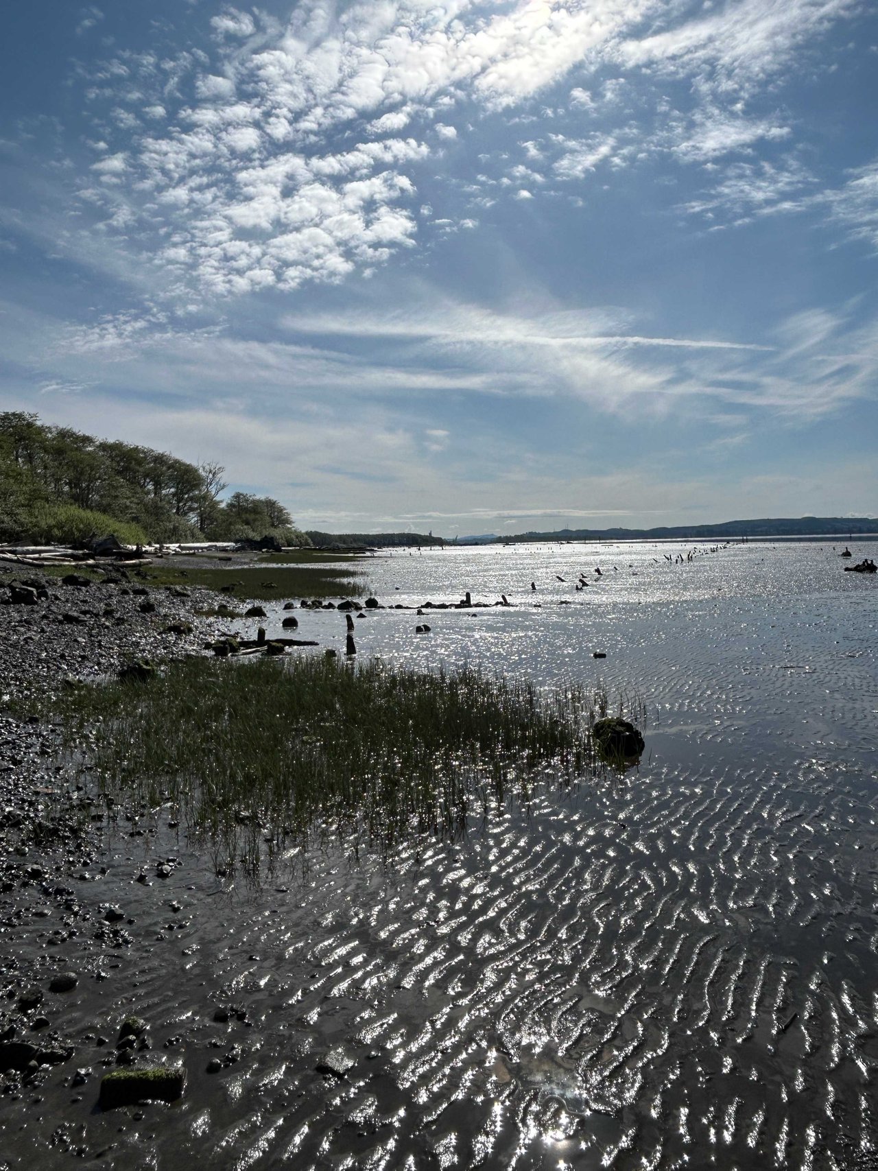 Beach Morning in Spring