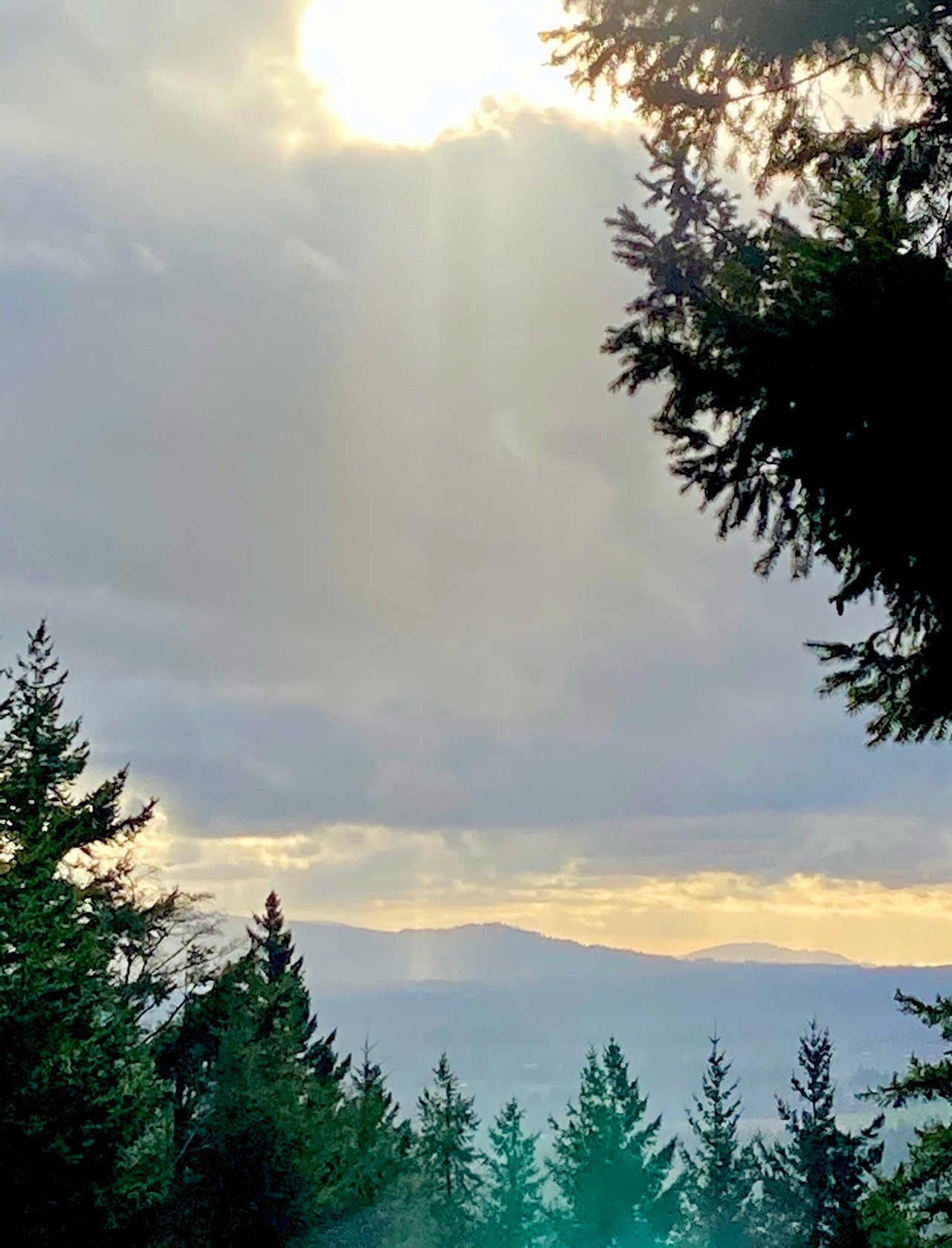 Friday Eve……My Actifit Report Card: October 15 2026
