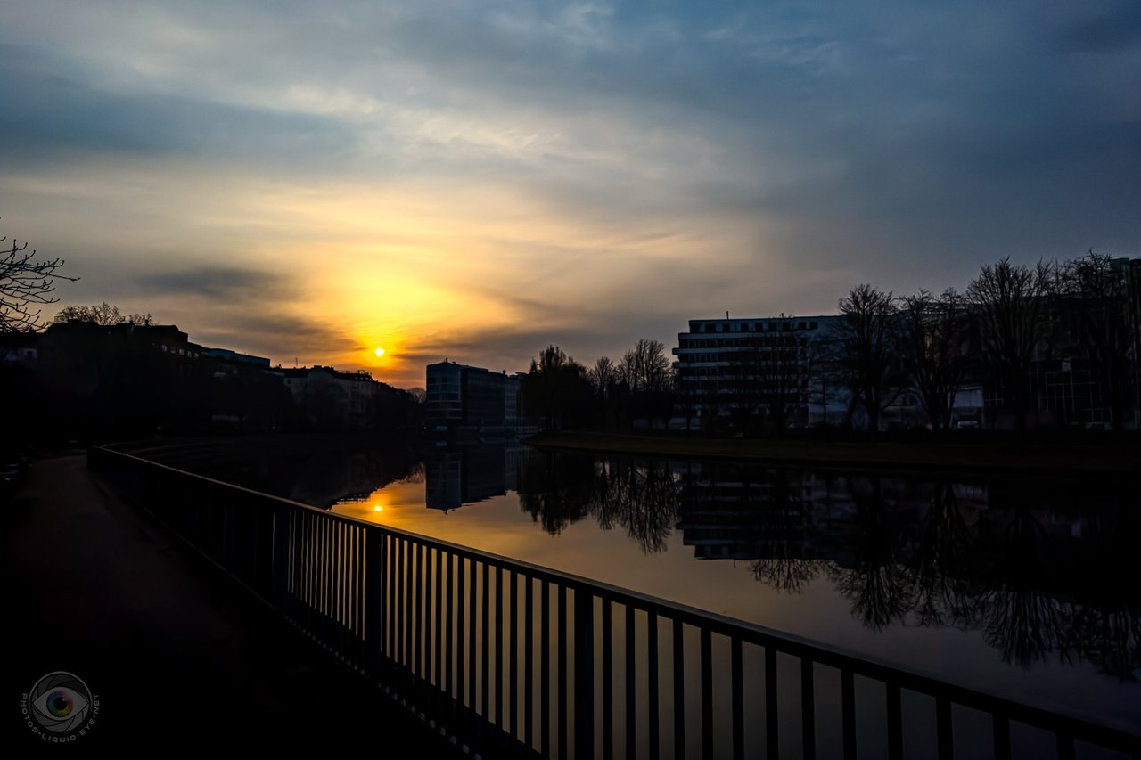 Actifit Curation Report 425💪🏃🏅