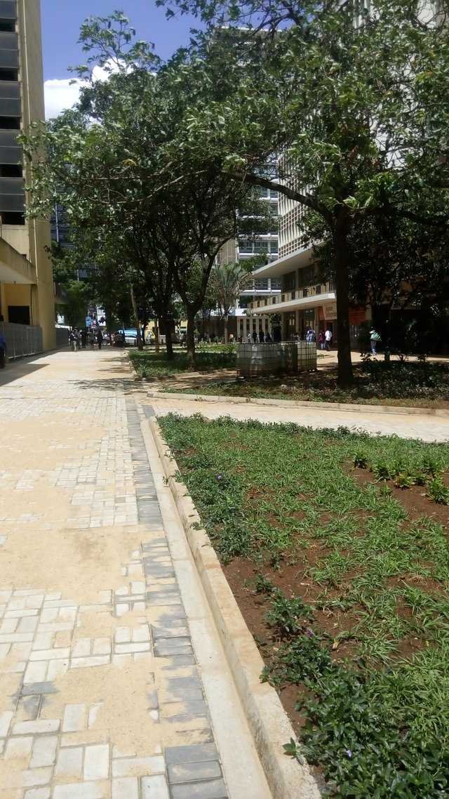 https://usermedia.actifit.io/L5INZ1GWC7ZYPX9N5ARVQHIYADOKIR