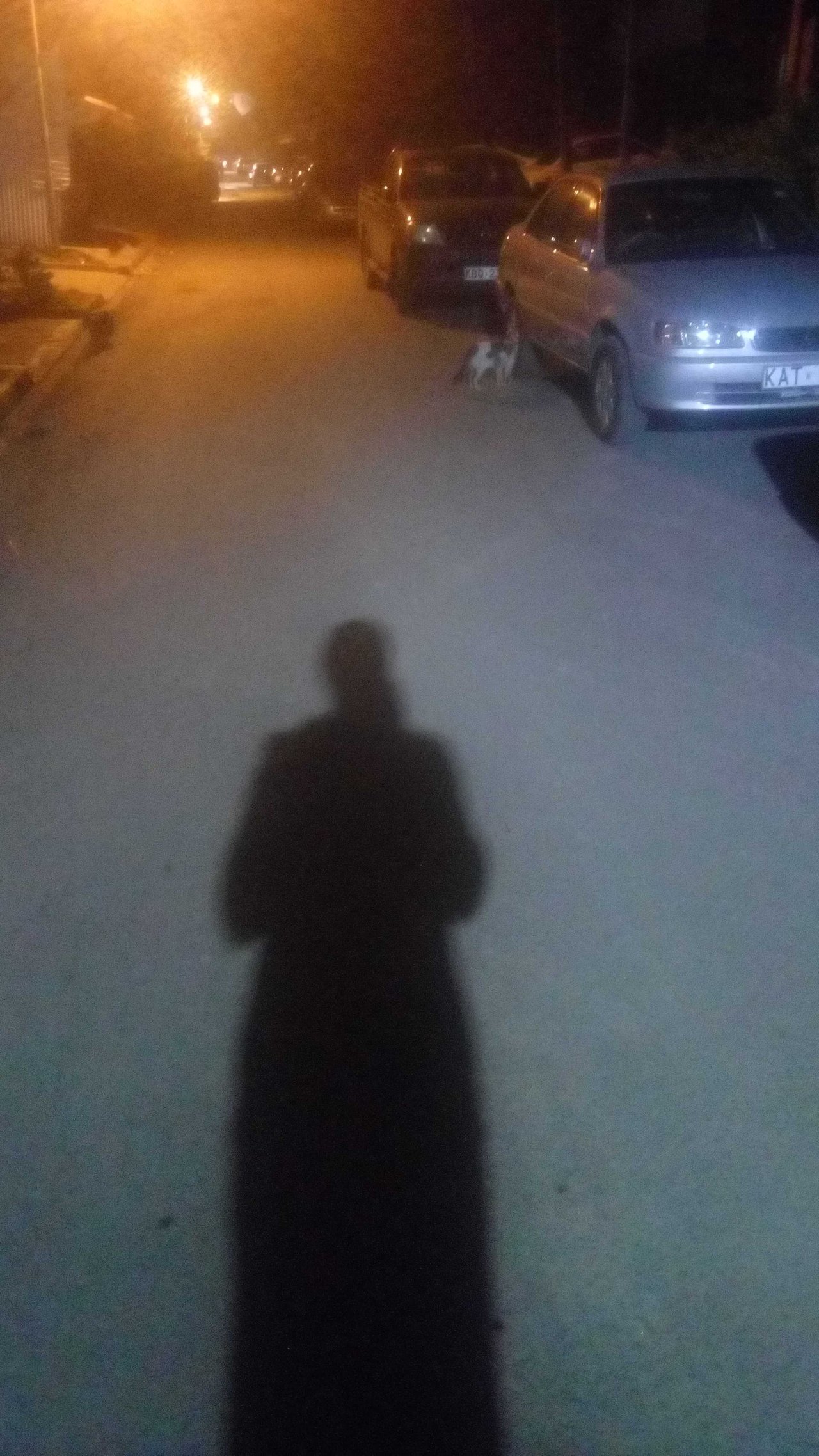 https://usermedia.actifit.io/L5OE5U5JR8KRE5CG1GQS1FRA8I8F6N