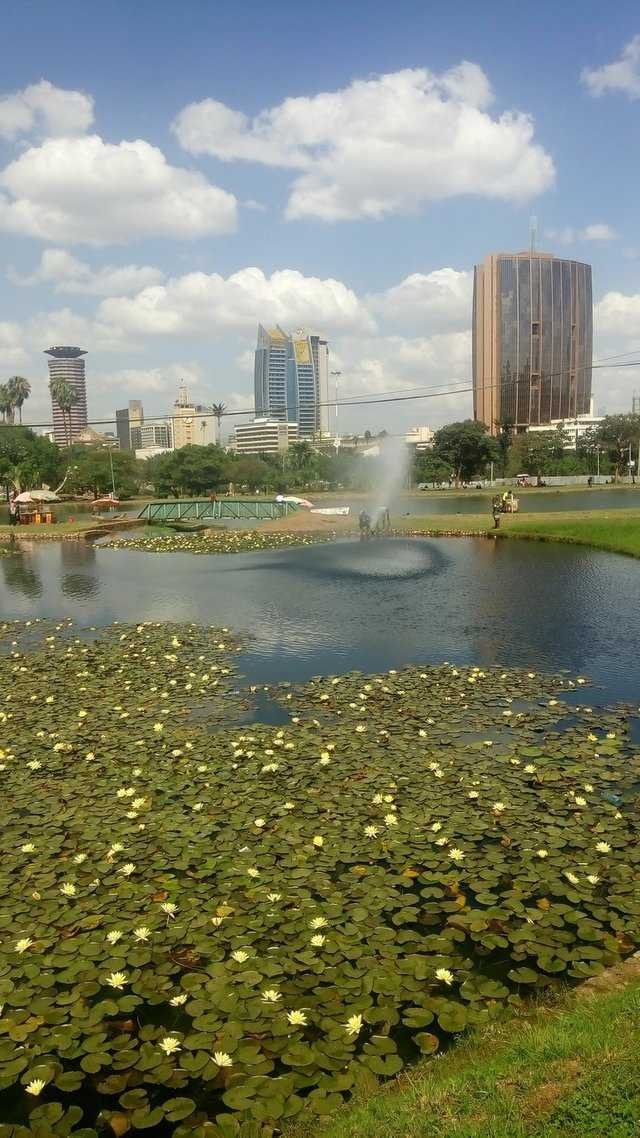 https://usermedia.actifit.io/L5WY9E8RT8V8SO8T4ZPUNEQTWBEHY
