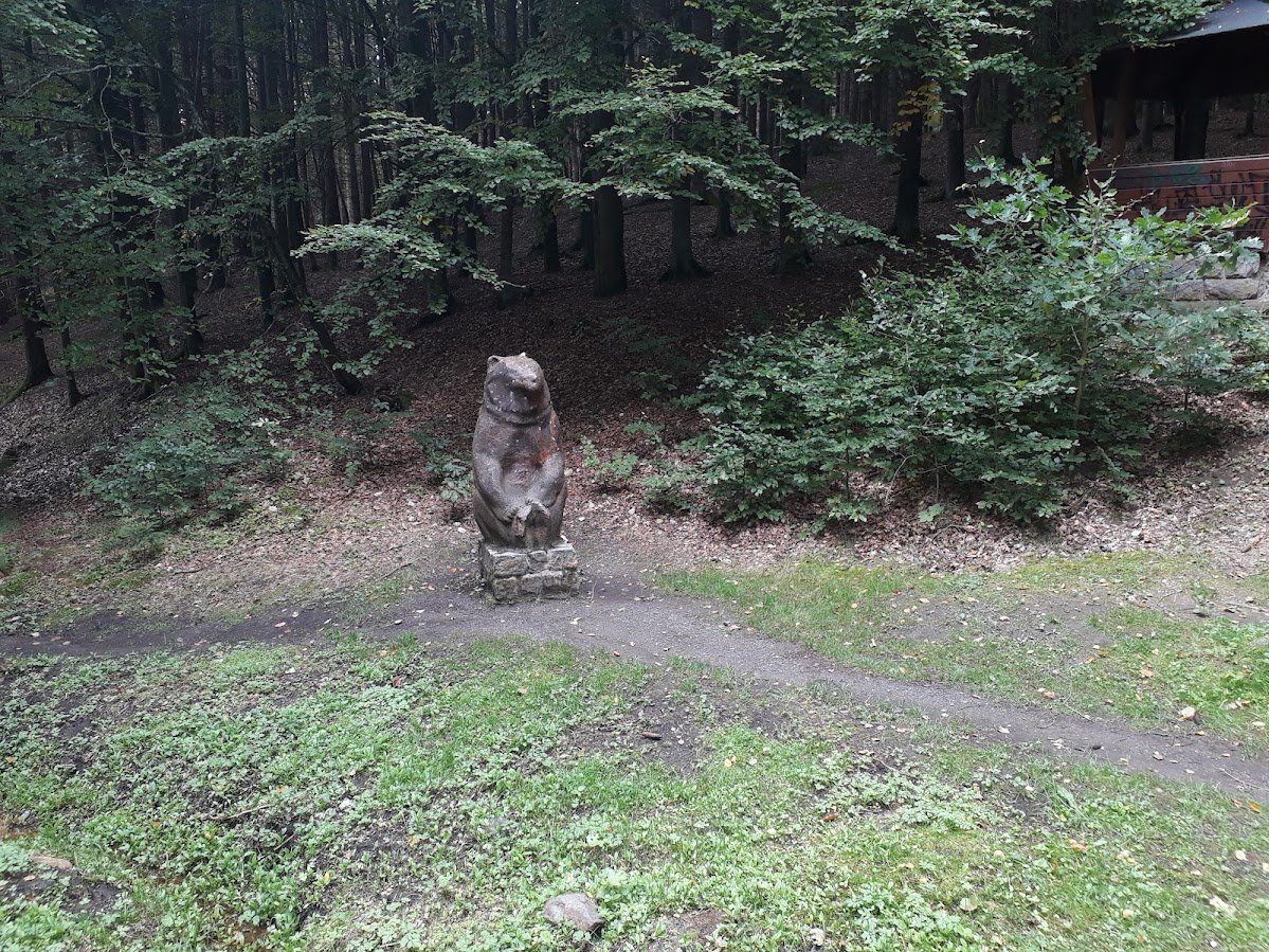 20250917_151626.jpg