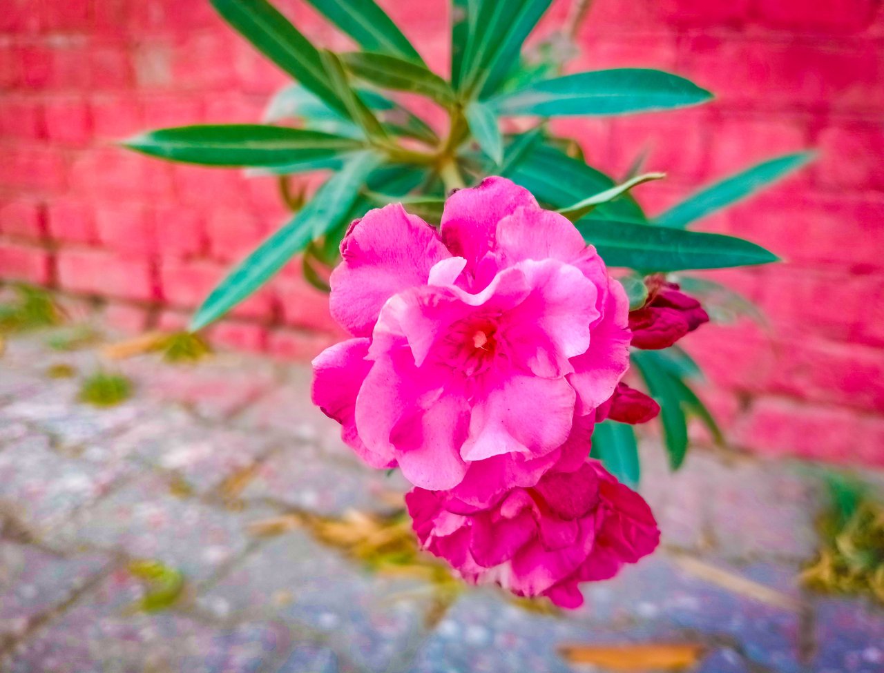 b04034fc-1136-411a-8d32-cb946a27d012