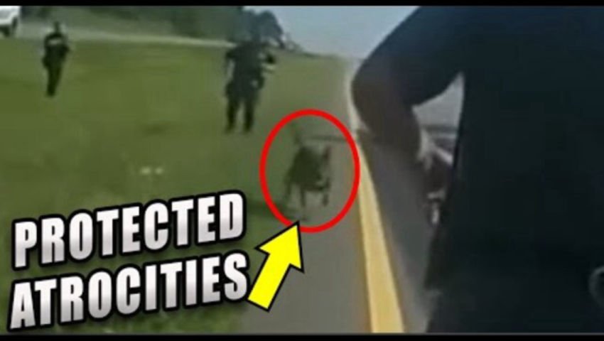 https://vigilante.tv/lazy-static/previews/522cc751-d718-4618-8153-3adb9475fbd0.jpg