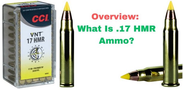 https://www.bulkcheapammo.com/images/blog/17-HMR-ammo/Overview-17-HMR-ammo.jpg