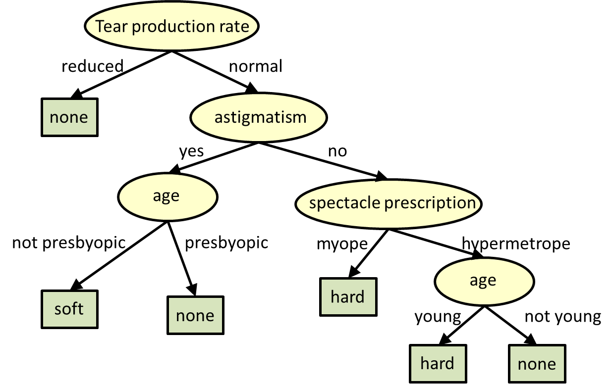 Example Decision Tree