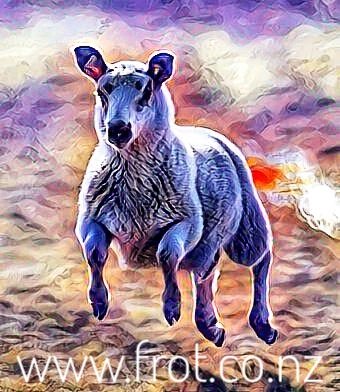 https://www.frot.co.nz/design/wp-content/uploads/2020/04/IMG-PHOTO-ART-1252396683-01.jpeg