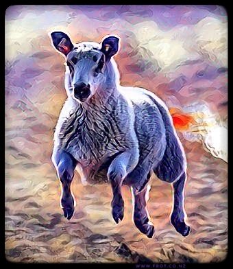 https://www.frot.co.nz/design/wp-content/uploads/2020/05/IMG-PHOTO-ART-1252396683-01.jpeg