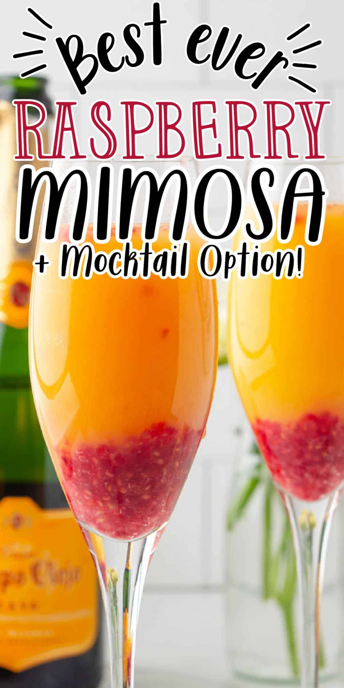 https://www.midgetmomma.com/wp-content/uploads/2021/04/Raspberry-Mimosa-3.jpeg