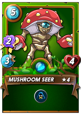 Mushroom Seer