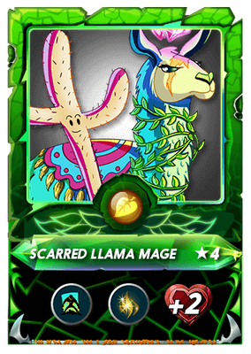 Scarred Llama Mage