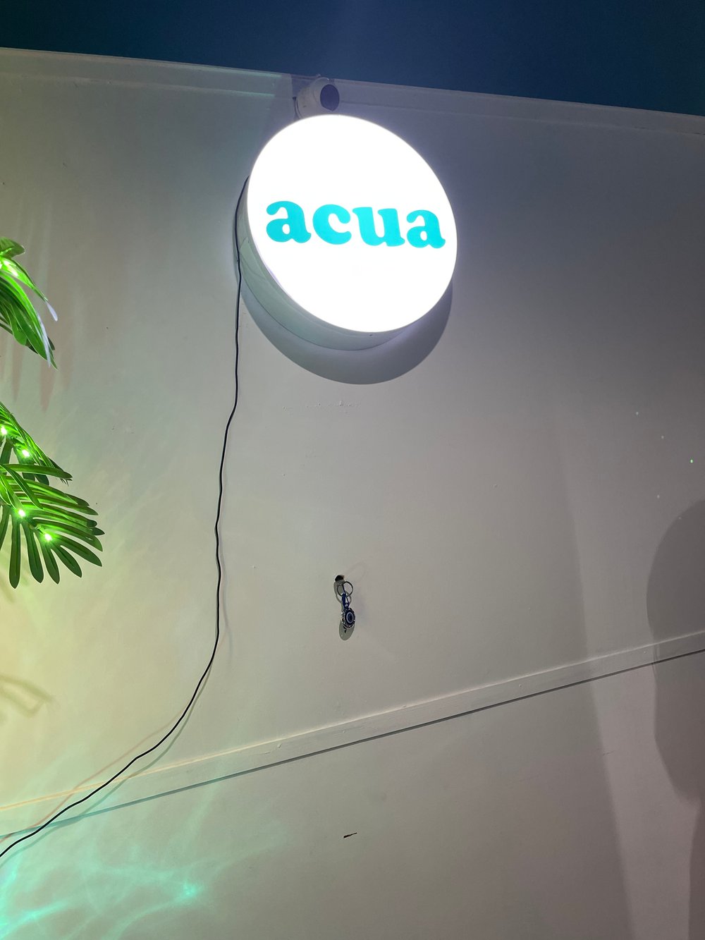 I visited Acua Shop & paid Hive Dollars & here is my review