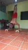 https://images.hive.blog/100x100/https://images.hive.blog/0x0/https://cdn.liketu.com/media/henrrysworkout/images/zpif1TwWwANKTAYR_Screenshot_20250624-1253592/zpif1TwWwANKTAYR_Screenshot_20250624-1253592.webp