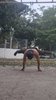 https://images.hive.blog/100x100/https://images.hive.blog/DQmY5haEDnimmRtYG3fcZgqPoQxJuDPoSe3ZYvdeXWfKRhW/VideoCapture_20250623-200810.jpg