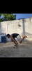 https://images.hive.blog/100x100/https://images.hive.blog/DQmYLvqohqy4j7jiDQqAGymeD5mj3FJopNQsV2fF1W35gwq/IMG_2233.png