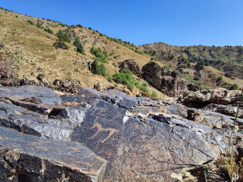 Trip To The Petroglyphs And Waterfalls Of The "Black Rock ...