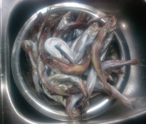 How did stockfish come into Nigeria?